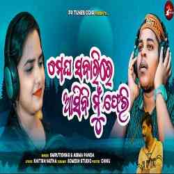 Megha Sabari Re Asibi Mu Feri